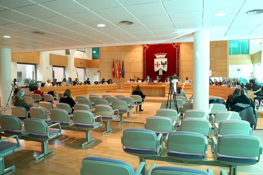 Sesión plenaria vista desde el fondo del salón de plenos
