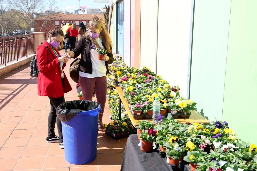 Actos Día de la Mujer en la Esfera - Imagen de gran numero de plantas para repartir por el Dia de la Mujer.