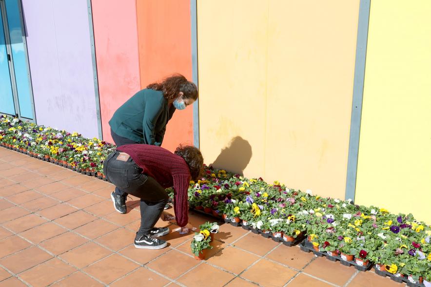   Actos Día de la Mujer en la Esfera - Imagen de varias jóvenes  colocando los tiestos. 