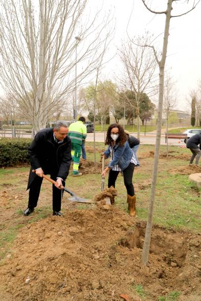 Participantes paleando para rellenar el agujero tras plantar un árbol