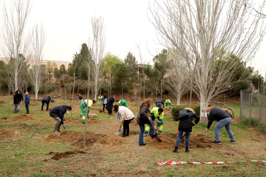 Asistentes cavando hoyos para los árboles