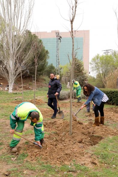 Detalle momento de la plantación