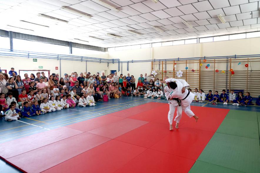 Exhibición de judo