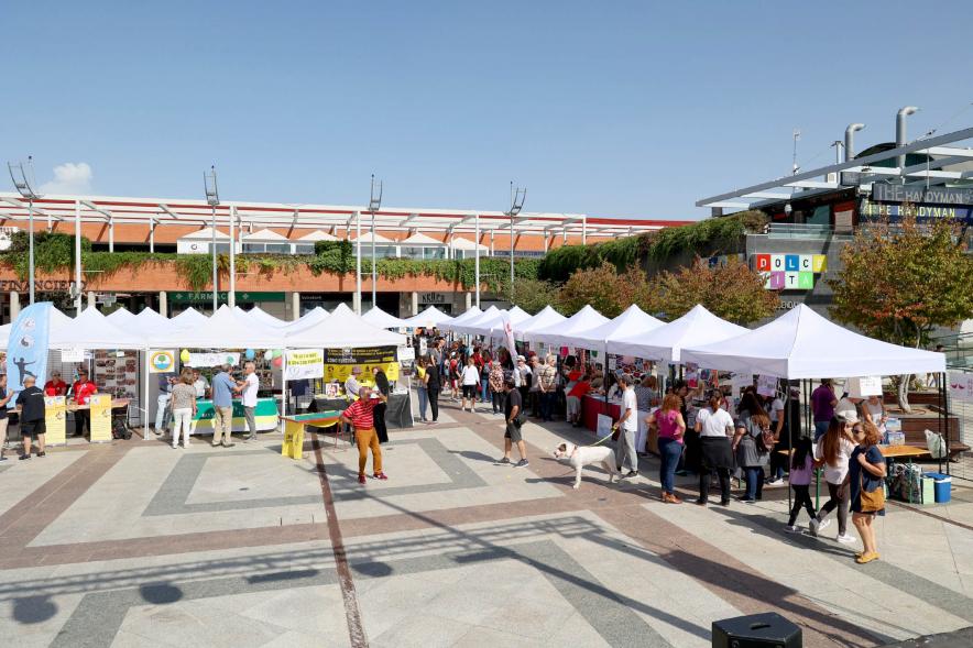 Feria de las Asociaciones 2022 - Plano abierto del lugar de la feria.