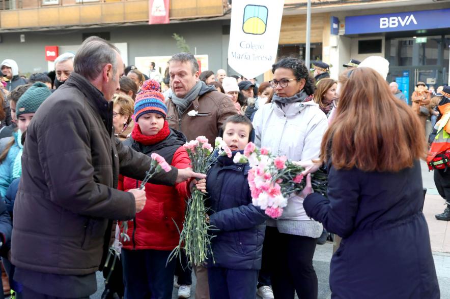 Ofrenda Floral 2023 - Imagen de un momento de la recogida de las flores por las personas encargadas de ello. 