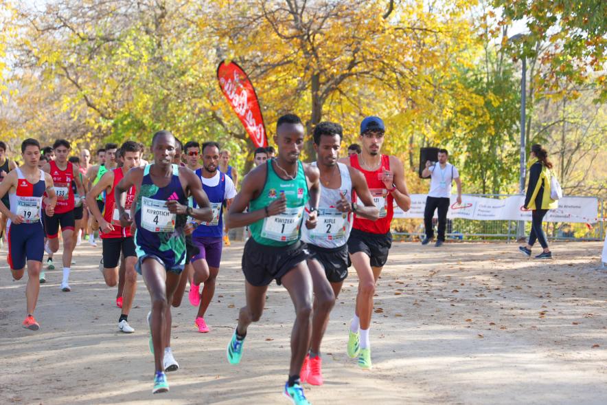 XLI Cross Internacional de la Constitución 10