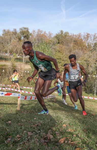 XLI Cross Internacional de la Constitución 13