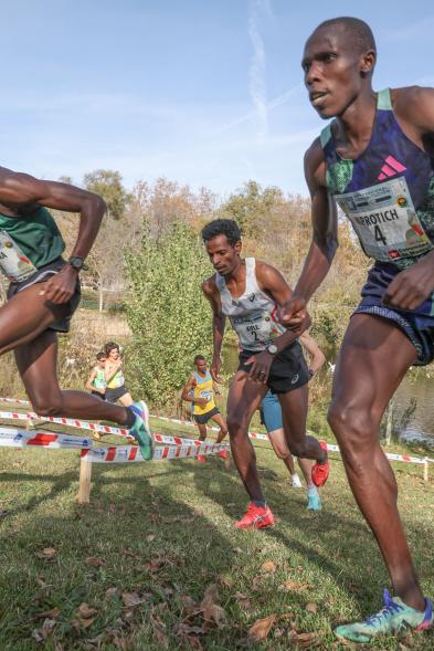 XLI Cross Internacional de la Constitución 14