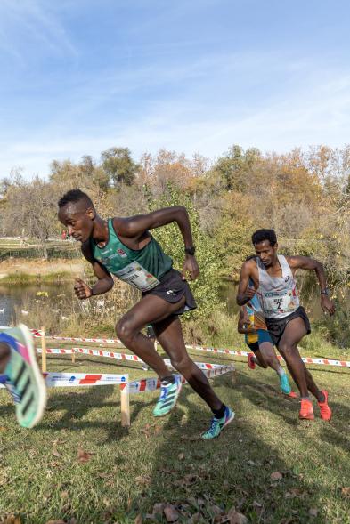 XLI Cross Internacional de la Constitución 19
