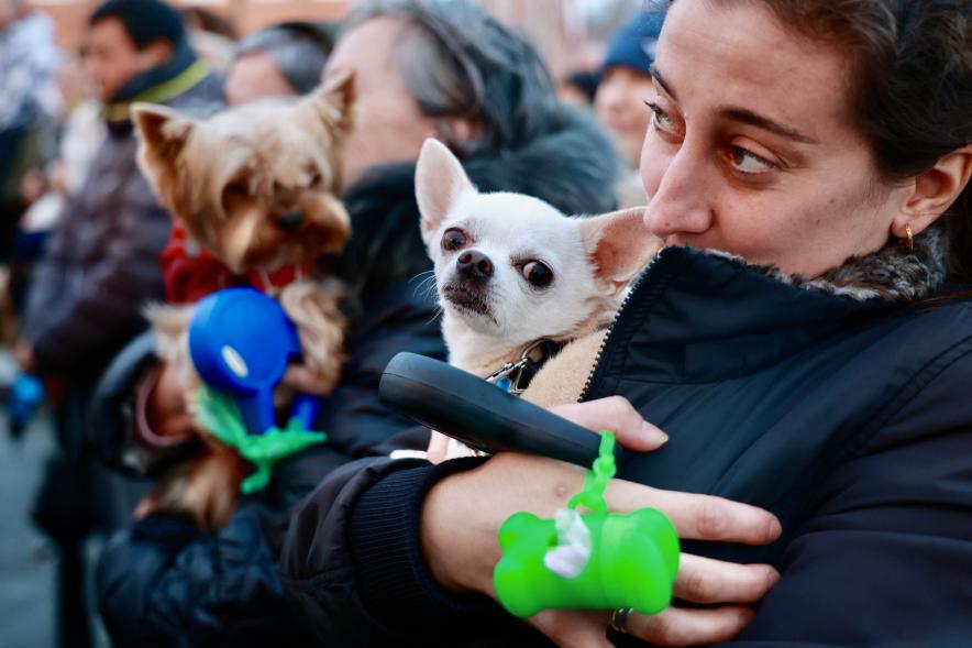 Fiesta de San Antón 2024, bendición perro