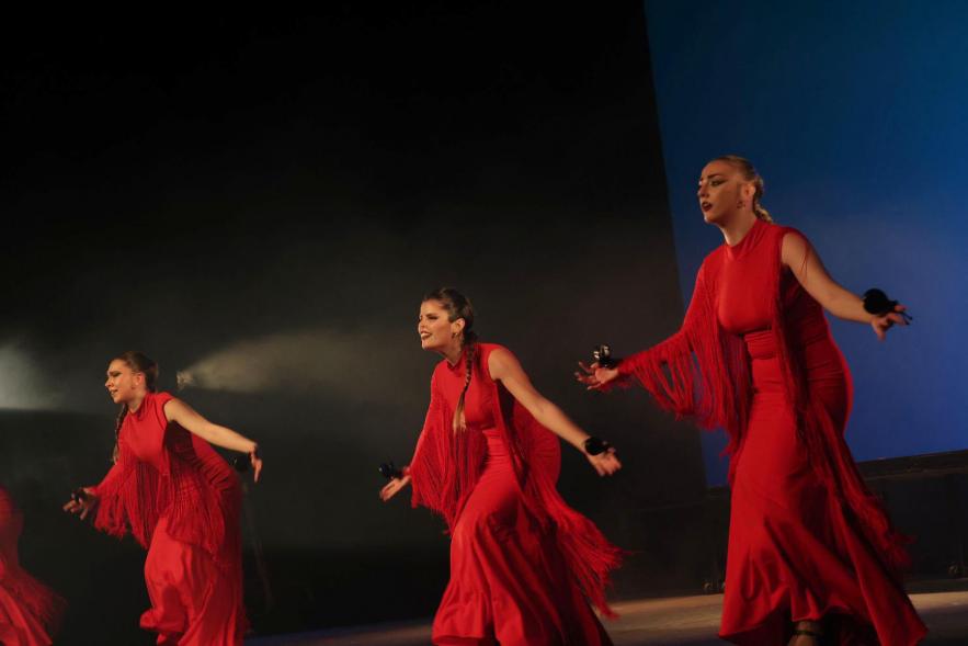 Entrega del XXXI Premio de la Paz a los Valores Humanos 2024, actuación de flamenco