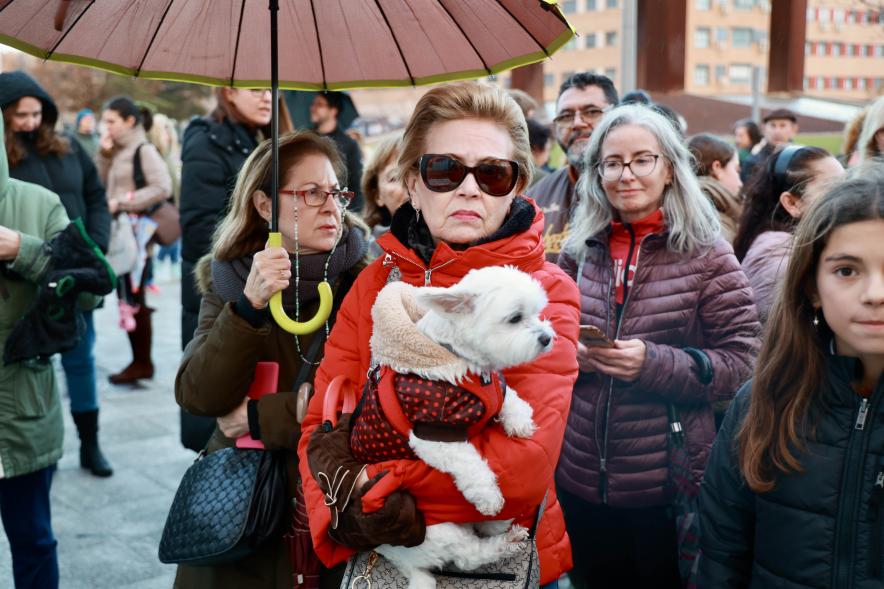 Fiesta de San Antón 2024, bendición perro