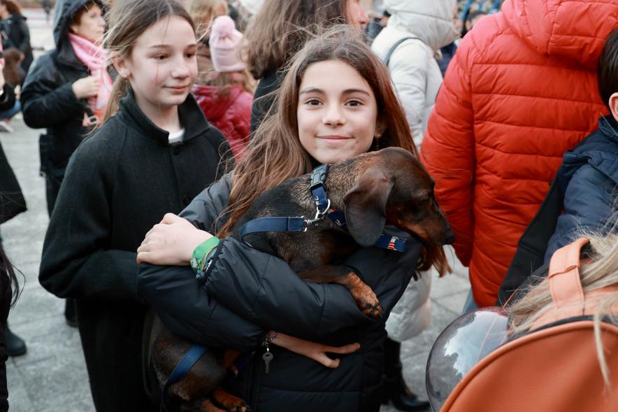 Fiesta de San Antón 2024, bendición perro