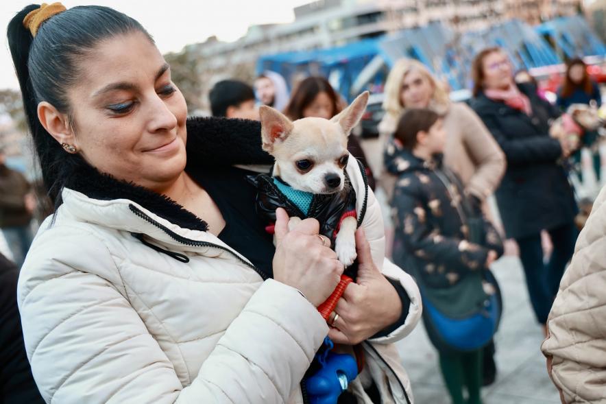 Fiesta de San Antón 2024, bendición perro