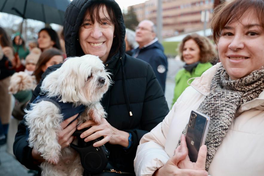 Fiesta de San Antón 2024, bendición perro
