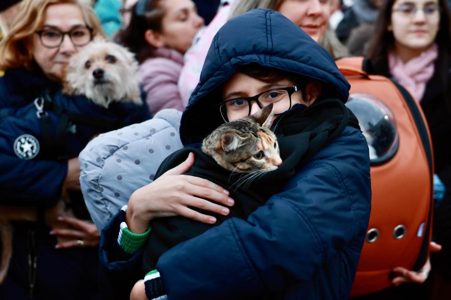 Fiesta de San Antón 2024, bendición gato
