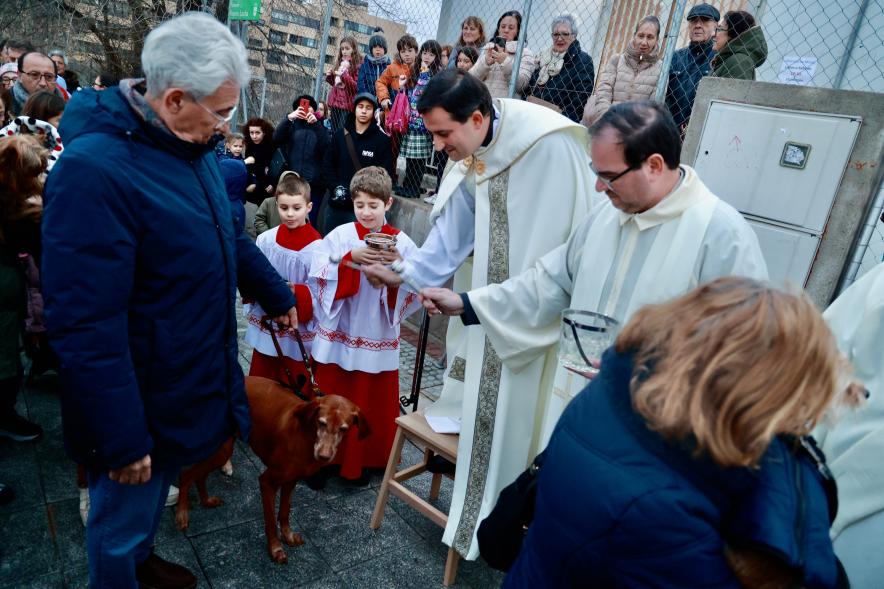 Fiesta de San Antón 2024, párrocos bendiciendo
