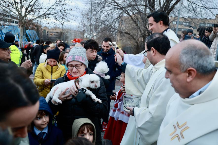 Fiesta de San Antón 2024, bendición perro