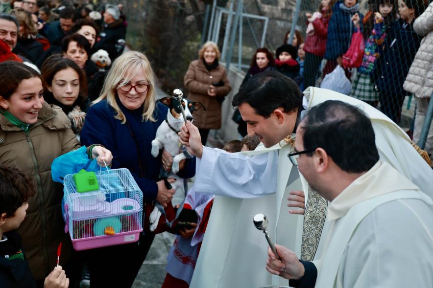 Fiesta de San Antón 2024, bendición perro