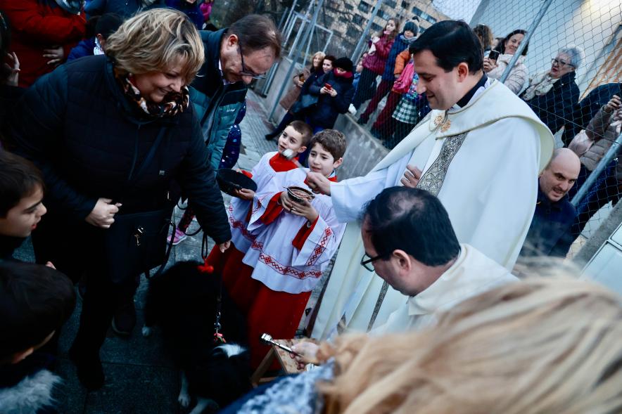 Fiesta de San Antón 2024, bendición perro