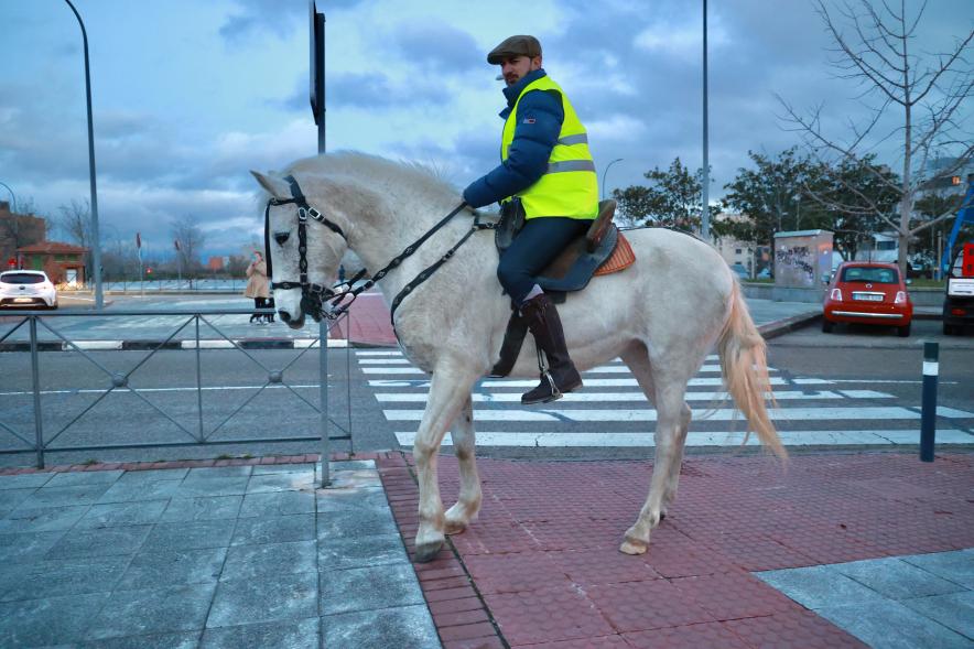 Fiesta de San Antón 2024, hombre montado a caballo
