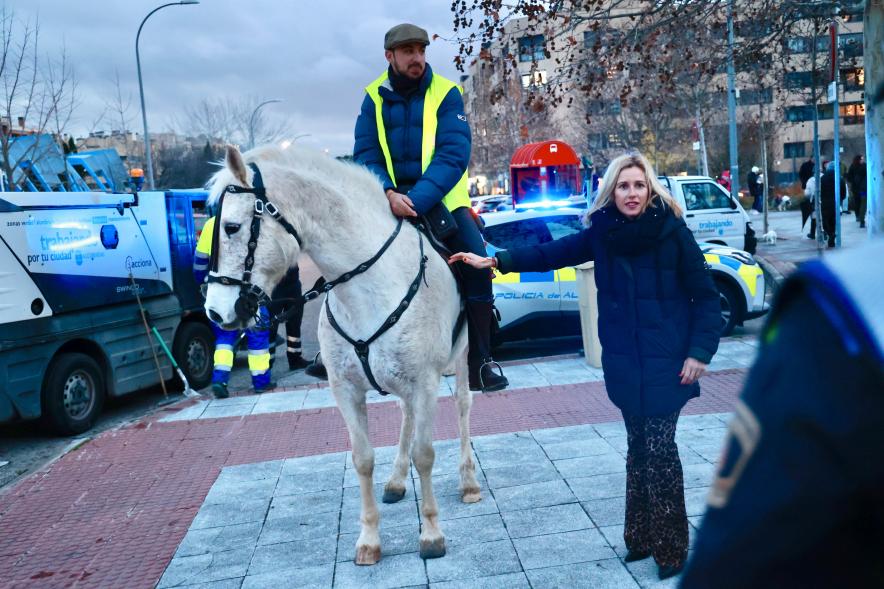 Fiesta de San Antón 2024, hombre montado a caballo