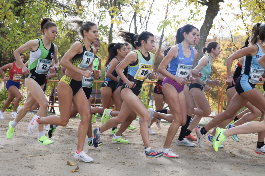 XLII Cross Internacional de la Constitución, corredoras