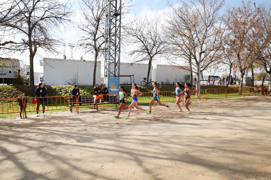XLII Cross Internacional de la Constitución, corredoras
