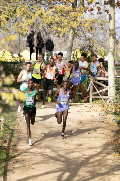 XLII Cross Internacional de la Constitución, corredores