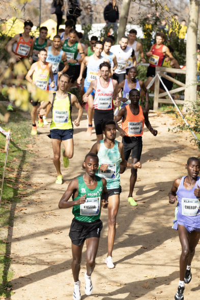 XLII Cross Internacional de la Constitución, corredores