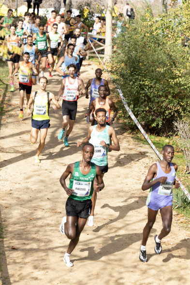 XLII Cross Internacional de la Constitución, corredores