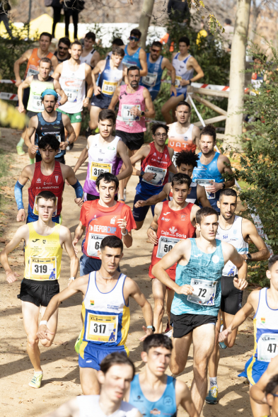 XLII Cross Internacional de la Constitución, corredores