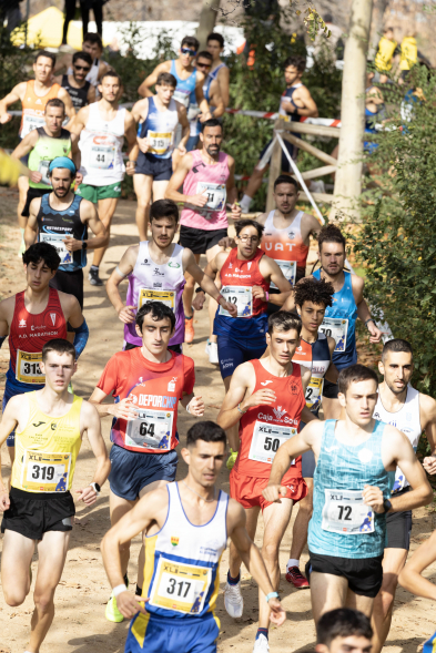 XLII Cross Internacional de la Constitución, corredores