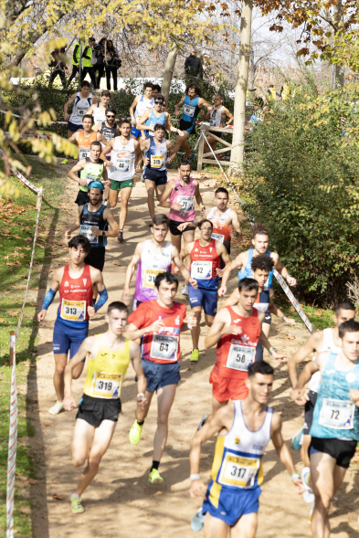 XLII Cross Internacional de la Constitución, corredores