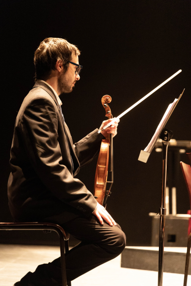 Gran Concierto de Año Nuevo, músico en concierto