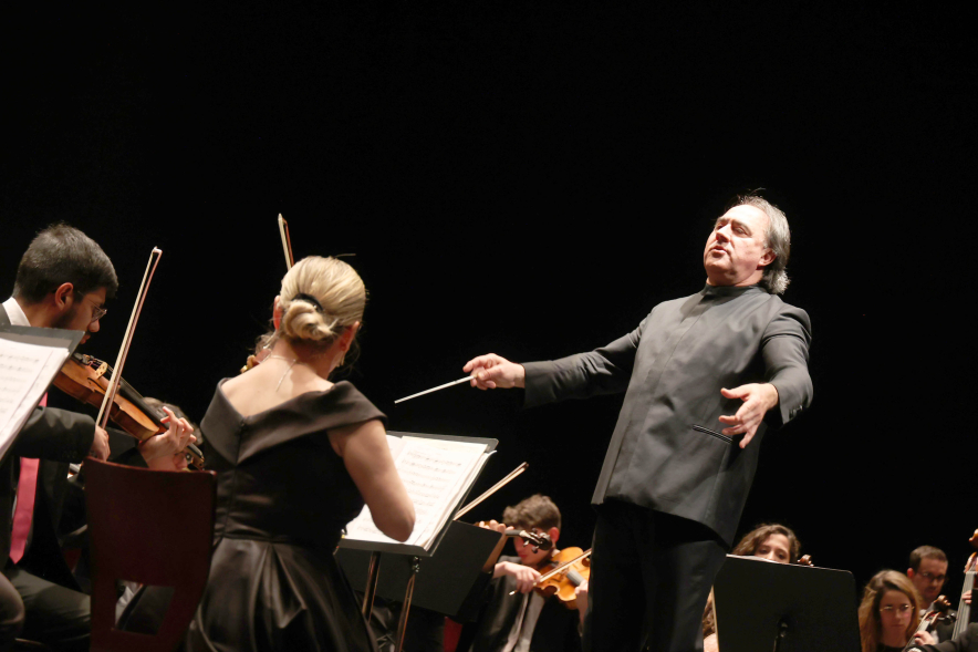 Gran Concierto de Año Nuevo, concierto