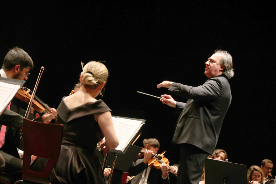 Gran Concierto de Año Nuevo, concierto