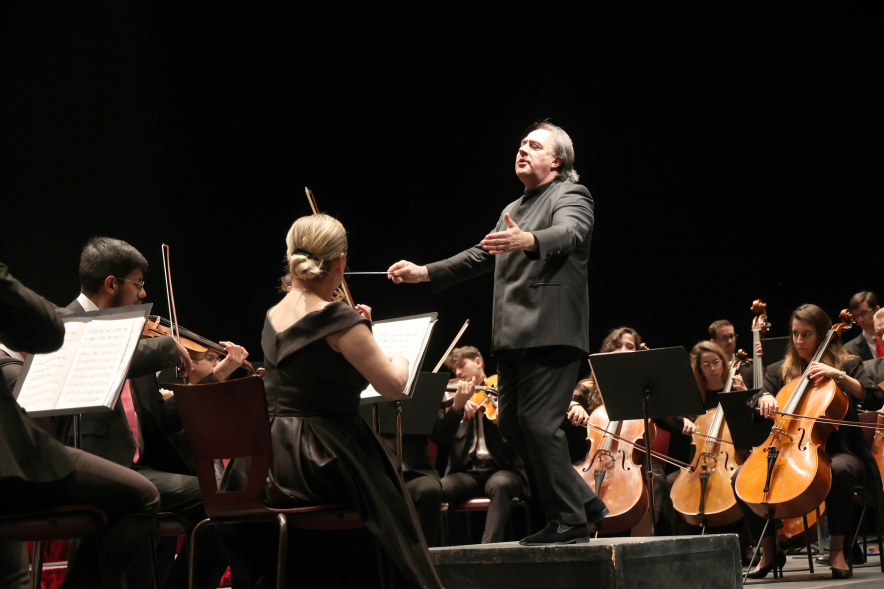 Gran Concierto de Año Nuevo, concierto