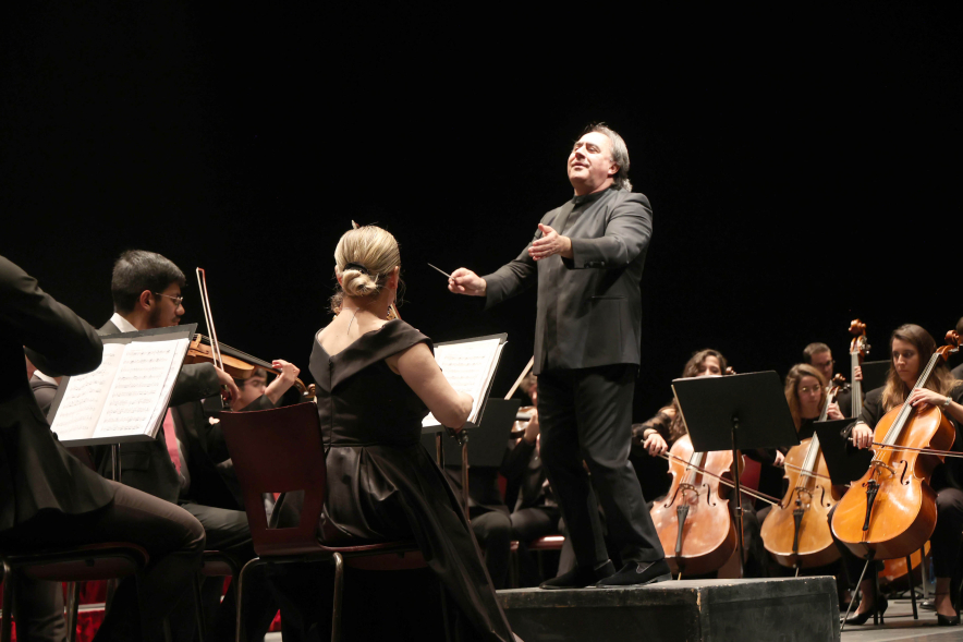 Gran Concierto de Año Nuevo, concierto