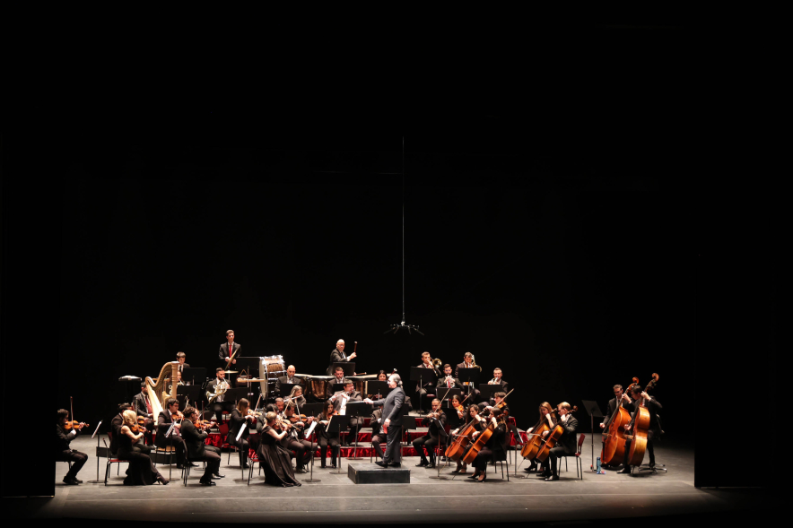 Gran Concierto de Año Nuevo, concierto