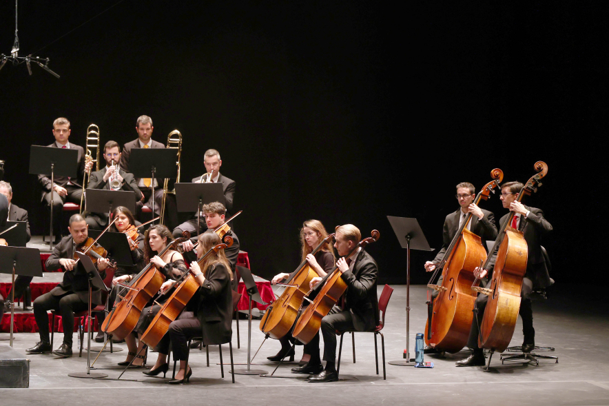 Gran Concierto de Año Nuevo, concierto