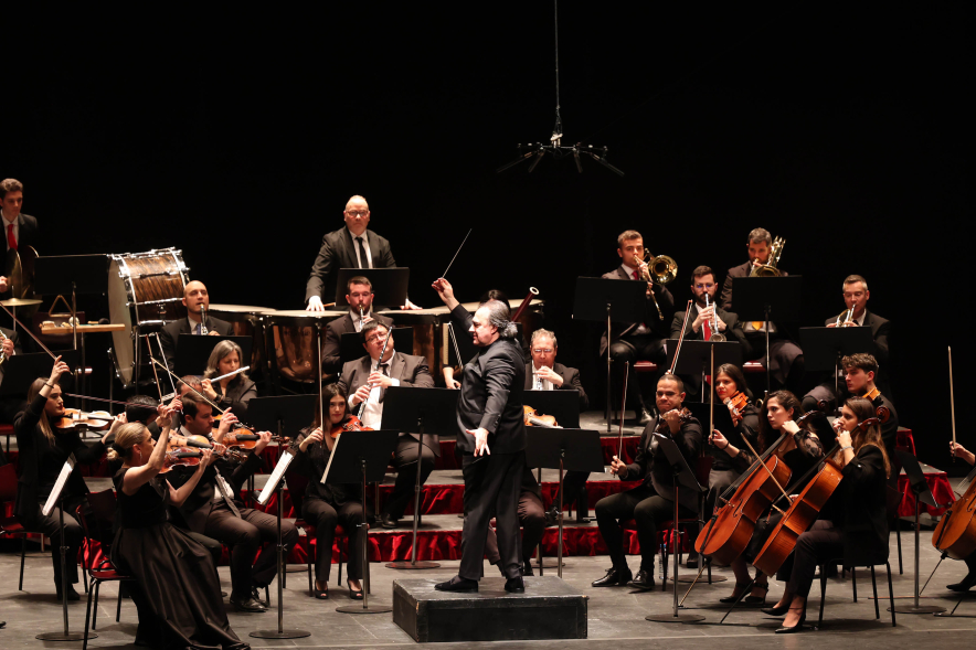 Gran Concierto de Año Nuevo, concierto