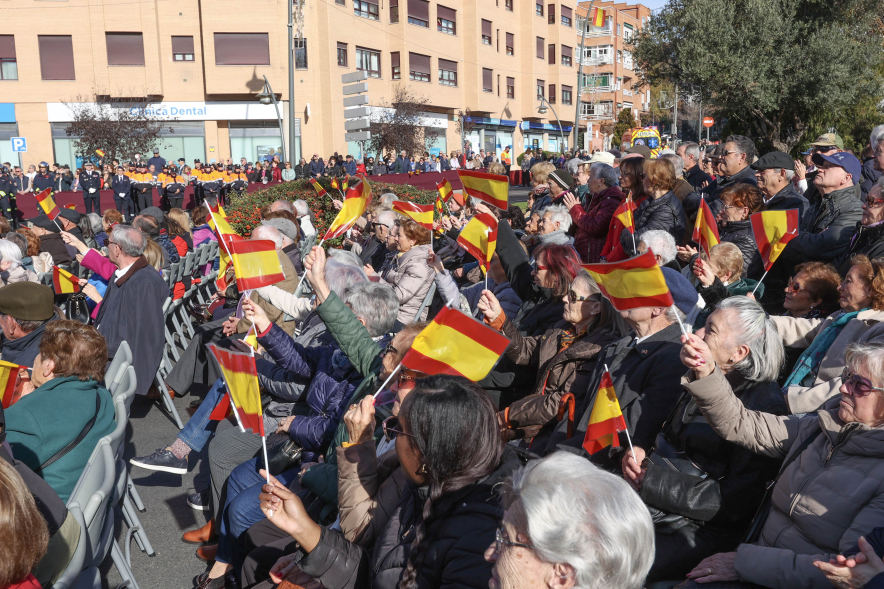 Día de la Constitución, público