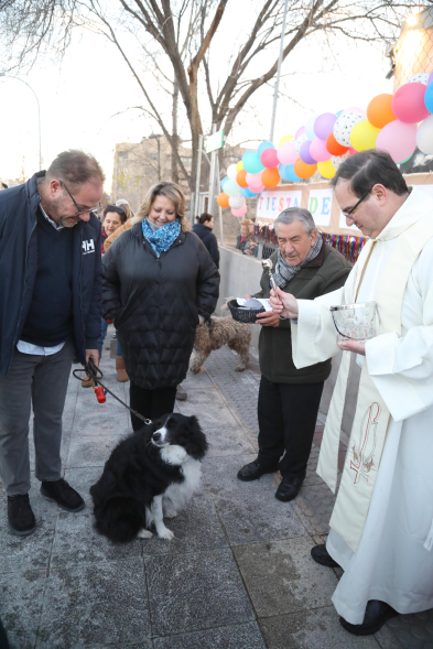 Fiesta de San Antón 2025, bendición de animales