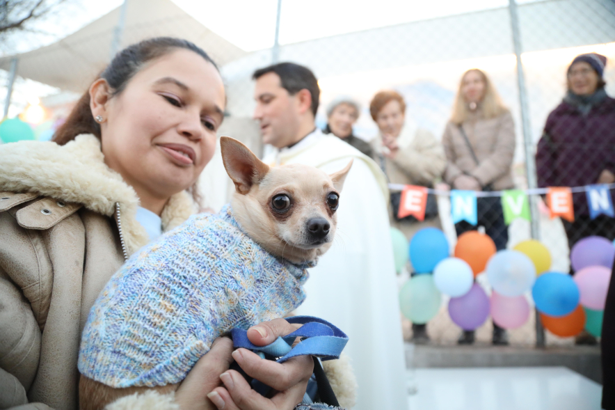 Fiesta de San Antón 2025, bendición de animales