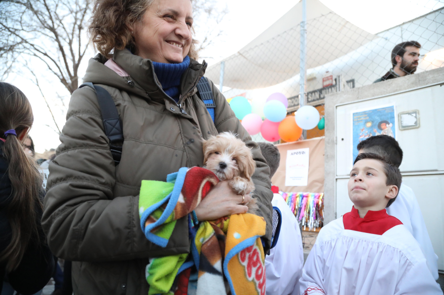 Fiesta de San Antón 2025, bendición de animales