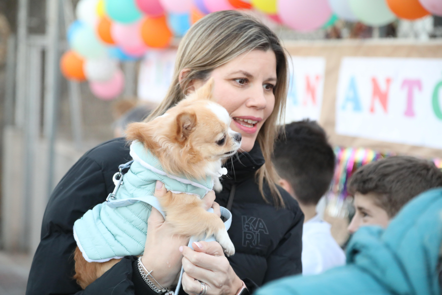 Fiesta de San Antón 2025, bendición de animales