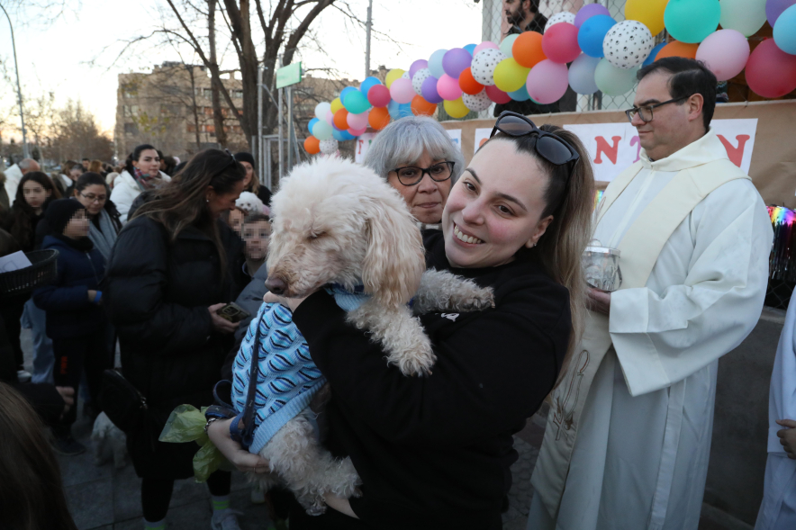 Fiesta de San Antón 2025, bendición de animales