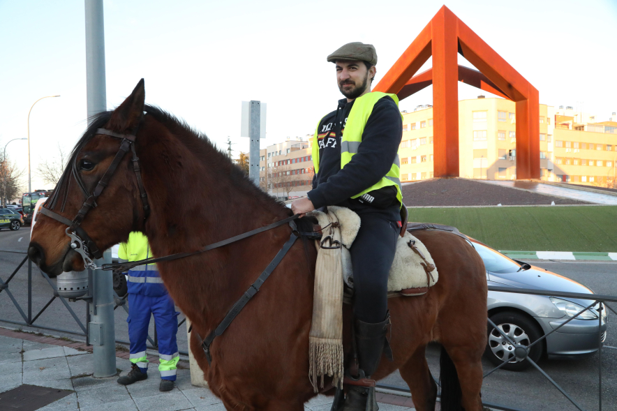 Fiesta de San Antón 2025, bendición de animales