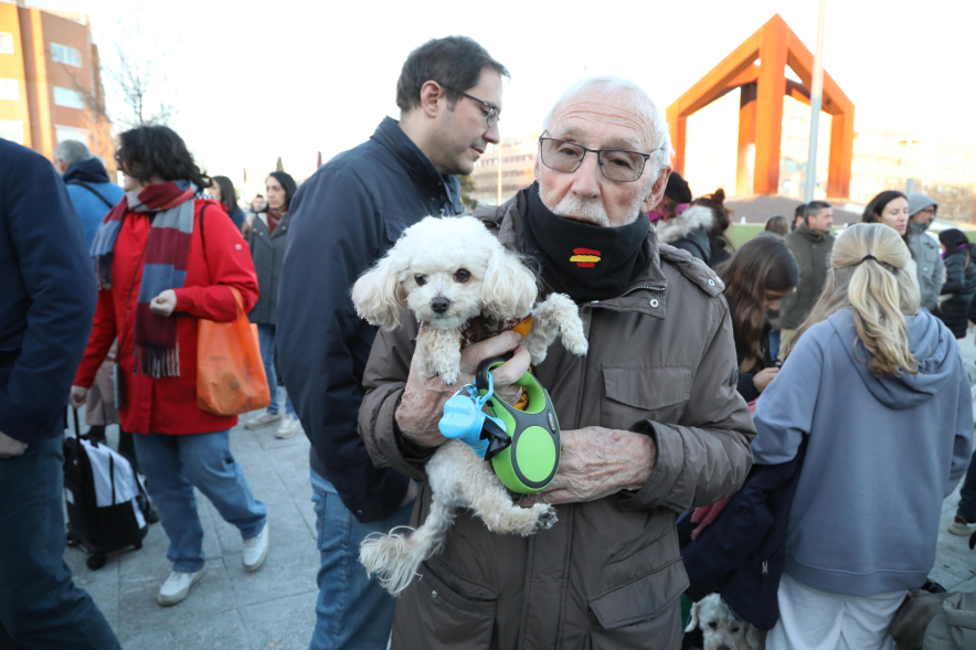 Fiesta de San Antón 2025, bendición de animales